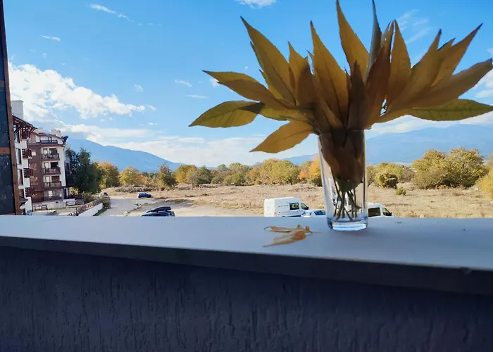 Apartment Belvedere Club 2bedroom F201 Bansko