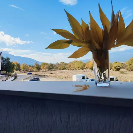 Appartement Belvedere Club 2bedroom F201 Bansko